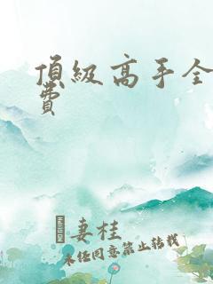 顶级高手全文免费