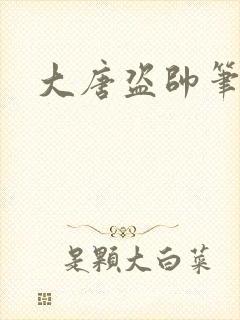 大唐盗帅笔趣阁