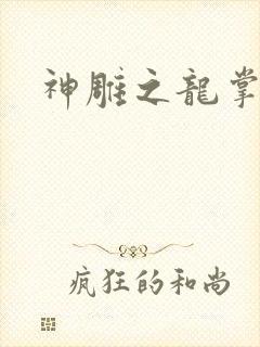 神雕之龙掌门