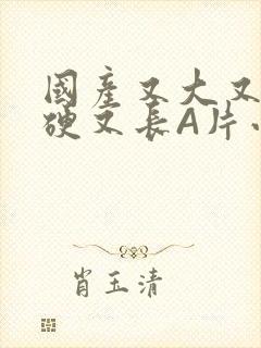 国产又大又粗又硬又长A片小说