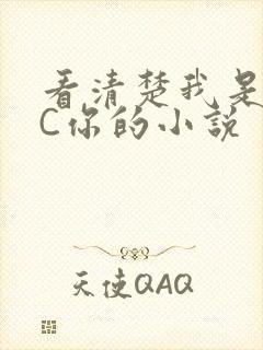 看清楚我是怎么C你的小说