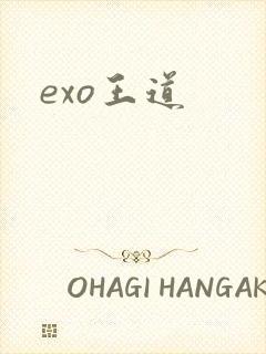 exo王道