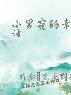 小男宠的幸福生活