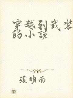 穿越到武装少女的小说