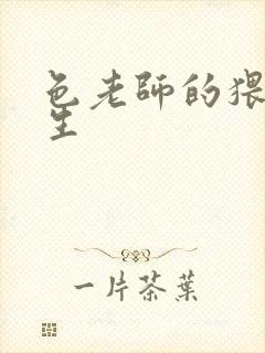 色老师的猥琐人生