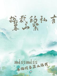 总裁的私有宝贝 暮山紫