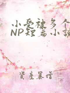 小受被多个攻强NP短篇小说
