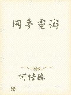 网梦灵游