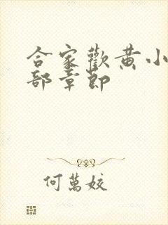 合家欢黄小梅全部章节