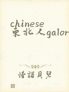 chinese东北人galore
