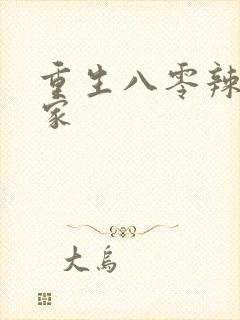 重生八零辣妻当家