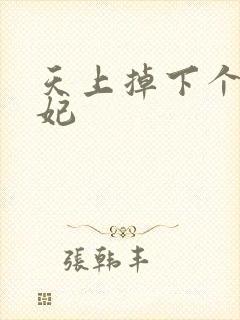 天上掉下个奇王妃