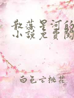 散落星河的记忆小说免费阅读全文