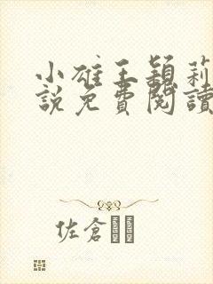 小雄王颖莉的小说免费阅读全文