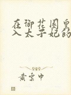 在御花园皇上进入太子妃的小说