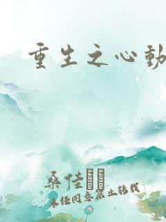 重生之心动起点