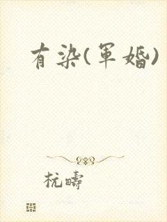 有染(军婚)