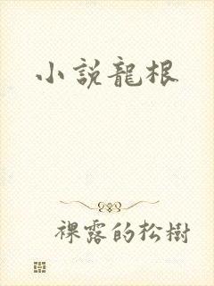 小说龙根