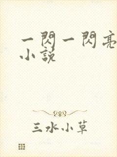 一闪一闪亮星星小说