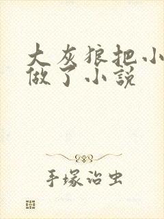 大灰狼把小红帽做了小说