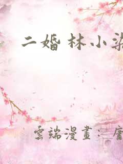 二婚 林小染