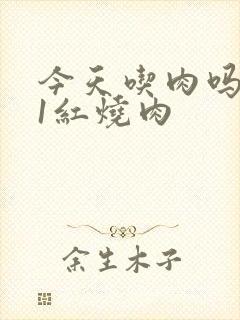 今天吃肉吗1V1红烧肉