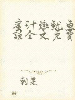 蜜汁炖鱿鱼2小说全文免费阅读