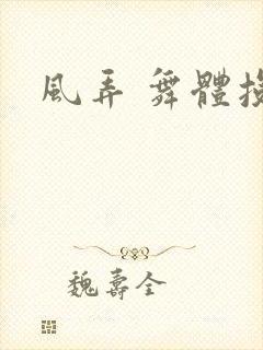 风弄 舞体投递