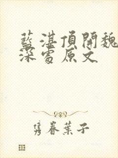 蓝湛顶开魏婴的深处原文