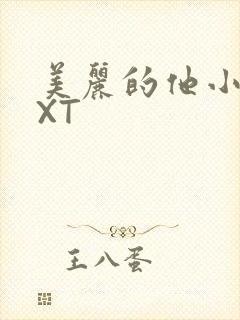 美丽的他小说TXT