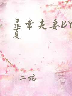 寻常夫妻BY写夏