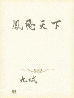 凤飞天下
