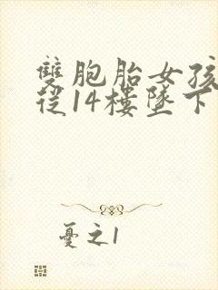 双胞胎女孩双双从14楼坠下