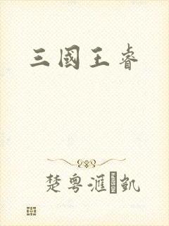三国王睿