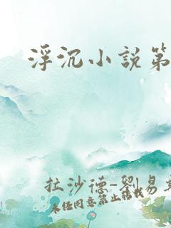 浮沉小说第二部