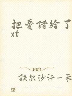 把爱错给了你txt