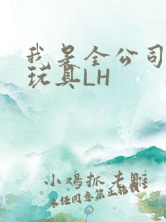 我是全公司发泄玩具LH
