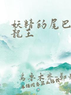 妖精的尾巴之幻龙王