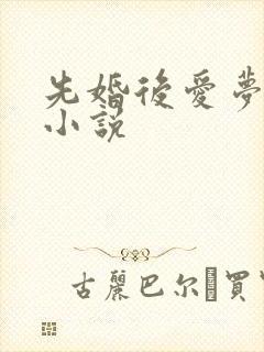先婚后爱梦筱二小说