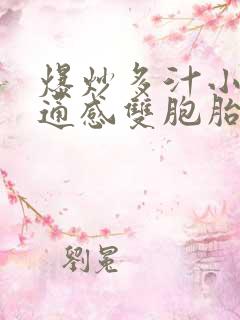 爆炒多汁小美人通感双胞胎