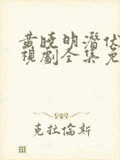 黄晓明潜伏者电视剧全集免费观看