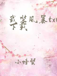 武装风暴txt下载
