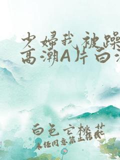 少妇我被躁爽到高潮A片白洁