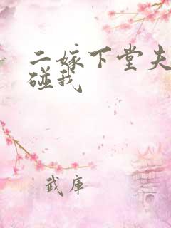 二嫁下堂夫君别碰我