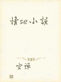 情se小说