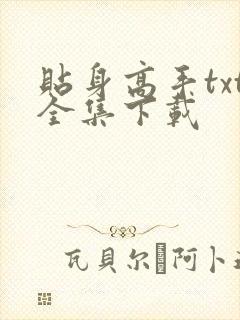 贴身高手txt全集下载