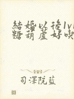 结婚以后1v1糖葫芦好吃epub