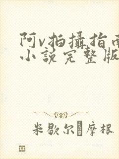 阿v拍摄指南说小说完整版