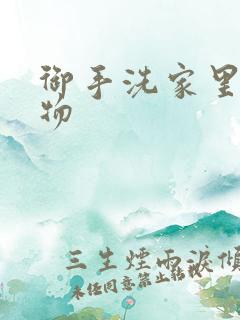 御手洗家里的事物