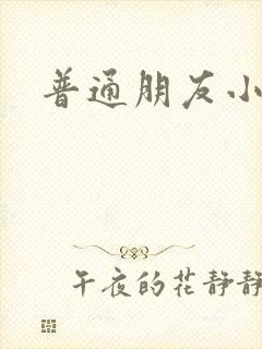普通朋友小说